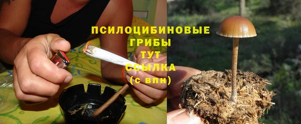 хмурый Всеволожск